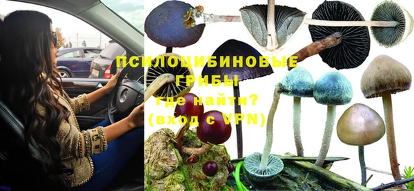 не бодяженный Куйбышев