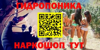 шишки Малгобек