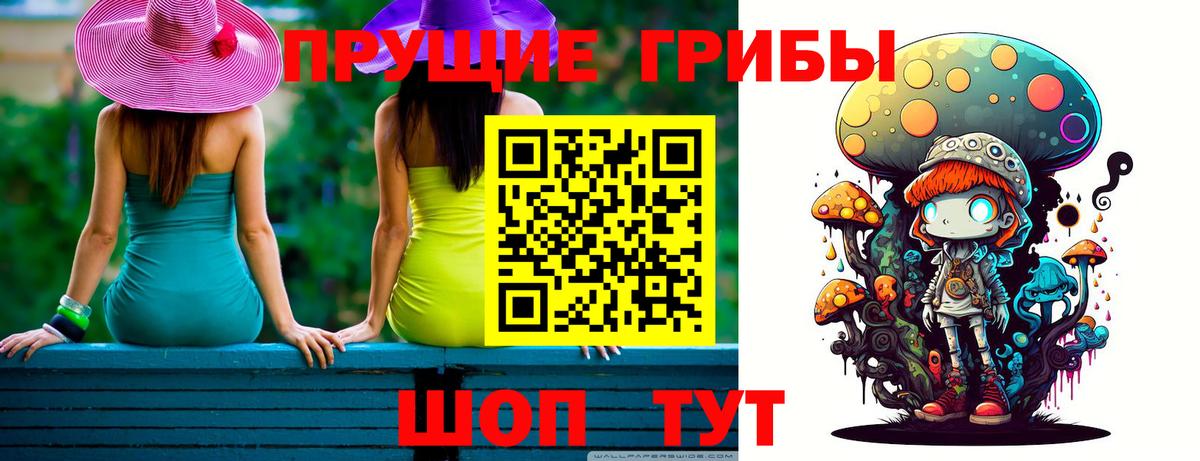 Псилоцибиновые грибы Psilocybine cubensis  Маркс  Галлюциногенные грибы Cubensis 